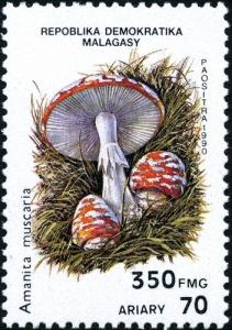 Colnect-2165-300-Amanita-muscaria.jpg