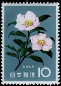 Colnect-5526-439-Camellia-Sasanqua.jpg