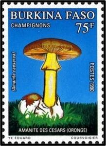 Colnect-2890-916-Amanita-caesarea.jpg