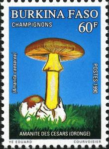 Colnect-2631-865-Amanita-caesarea.jpg