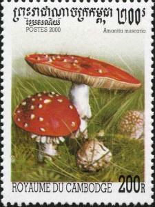 Colnect-2049-763-Amanita-muscaria.jpg