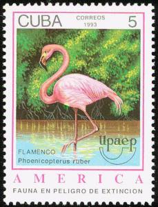 Colnect-1409-982-Caribbean-Flamingo-Phoenicopterus-ruber.jpg