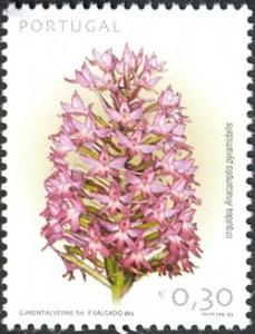 Colnect-568-023-Anacamptis-pyramidalis.jpg