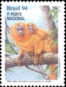 Colnect-2506-940-Golden-Lion-Tamarin-Leontopithecus-rosalia.jpg