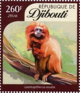 Colnect-4549-125-Golden-lion-tamarin-Leontopithecus-rosalia.jpg