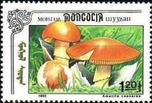 Colnect-1259-297-Amanita-caesarea.jpg