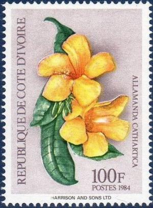 Colnect-1738-676-Allamanda-carthartica.jpg