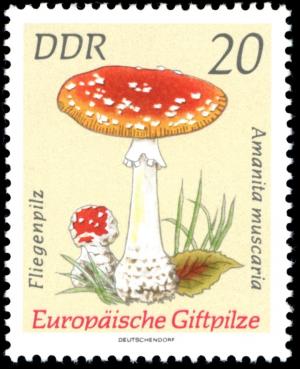 Colnect-1979-212-Amanita-muscaria.jpg