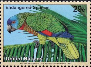 Colnect-2336-461-St-Lucia-Amazon-Amazona-versicolor.jpg