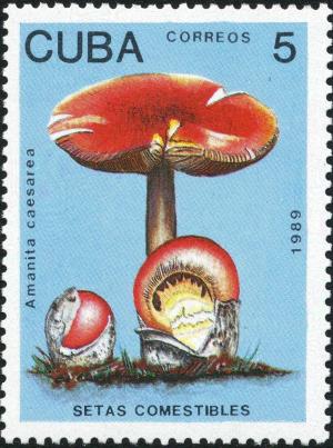 Colnect-2875-910-Amanita-caesarea.jpg