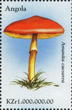 Colnect-2990-354-Amanita-caesarea.jpg