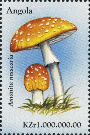 Colnect-2990-355-Amanita-muscaria.jpg