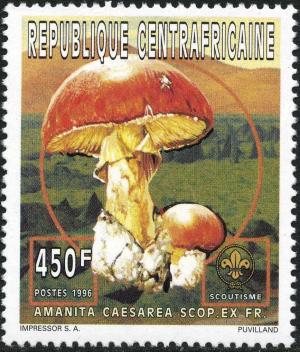 Colnect-2996-925-Amanita-caesarea.jpg