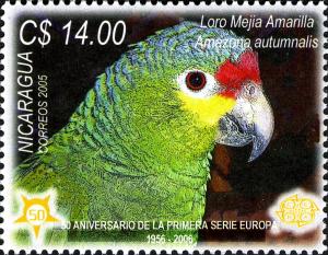 Colnect-3063-591-Red-lored-Amazon-Amazona-autumnalis.jpg