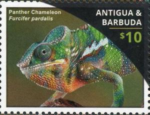 Colnect-3530-491-Panther-Chameleon-Furcifer-pardalis.jpg