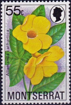 Colnect-3924-354-Allamanda-carthartica.jpg