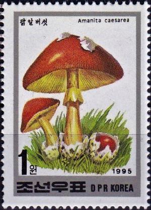 Colnect-4029-163-Amanita-caesarea.jpg