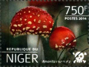 Colnect-4102-839-Amanita-muscaria.jpg