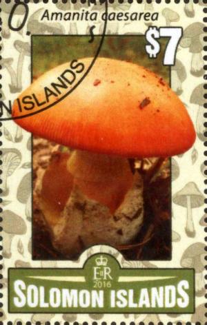 Colnect-4129-483-Amanita-caesarea.jpg