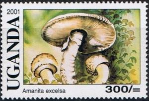 Colnect-4474-025-Amanita-excelsa.jpg