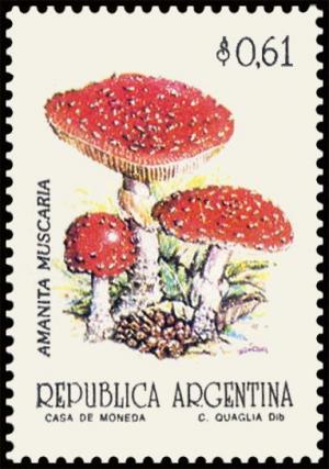 Colnect-5021-000-Amanita-muscaria.jpg