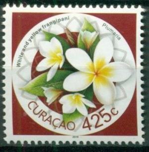 Colnect-5087-934-White--amp--Yellow-Frangipani.jpg