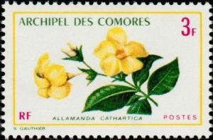 Colnect-787-754-Allamanda-cathartica.jpg