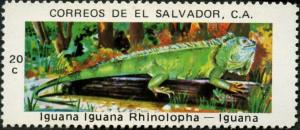 Iguana_iguana_Stamp_El_Salvador.jpg