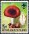 Colnect-2906-138-Amanita-robusta.jpg