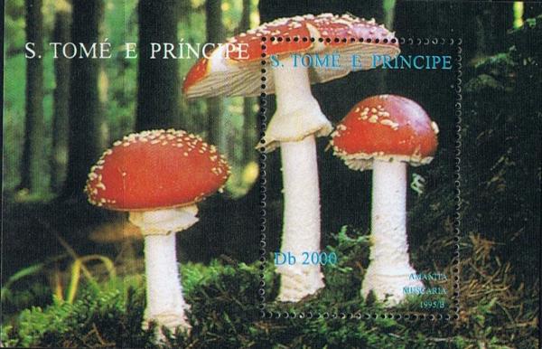 Colnect-4479-713-Amanita-muscaria.jpg