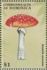 Colnect-3226-463-Amanita-muscaria.jpg