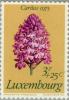 Colnect-134-335-Anacamptis-pyramidalis.jpg