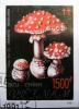 Colnect-5504-562-Amanita-muscaria.jpg