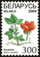 Colnect-1058-277-Stone-bramble---Rubus-saxatilis-.jpg