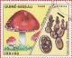 Colnect-1335-112-Amanita-muscaria.jpg