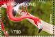 Colnect-1618-013-American-Flamingo-Phoenicopterus-ruber.jpg