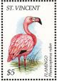 Colnect-1755-629-American-Flamingo-Phoenicopterus-ruber.jpg