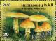 Colnect-1815-305-Amanita-Muscaria.jpg