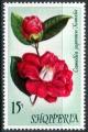 Colnect-2820-335-Japanese-camellia-Camellia-japonica.jpg