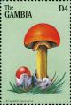 Colnect-3071-757-Amanita-caesarea.jpg