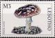 Colnect-4477-381-Amanita-excelsa.jpg