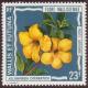 Colnect-905-615-Allamanda-cathartica.jpg