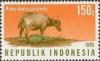 Colnect-1103-365-Lowland-Anoa-Anoa-depressicornis.jpg