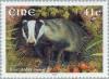 Colnect-129-945-European-Badger-Meles-meles.jpg