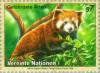 Colnect-139-110-Red-Panda-Ailurus-fulgens.jpg