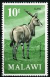 Colnect-1399-406-Livingstone%C2%B4s-Eland-Taurotragus-oryx-livingstonii.jpg