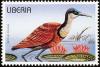 Colnect-1641-796-African-Jacana-Actophilornis-africana.jpg