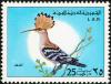 Colnect-1648-454-Eurasian-Hoopoe-Upupa-epops.jpg