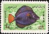 Colnect-1735-977-Purple-Tang-Zebrasoma-xanthurus-.jpg