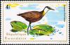 Colnect-1780-793-African-Jacana-Actophilornis-africanus.jpg